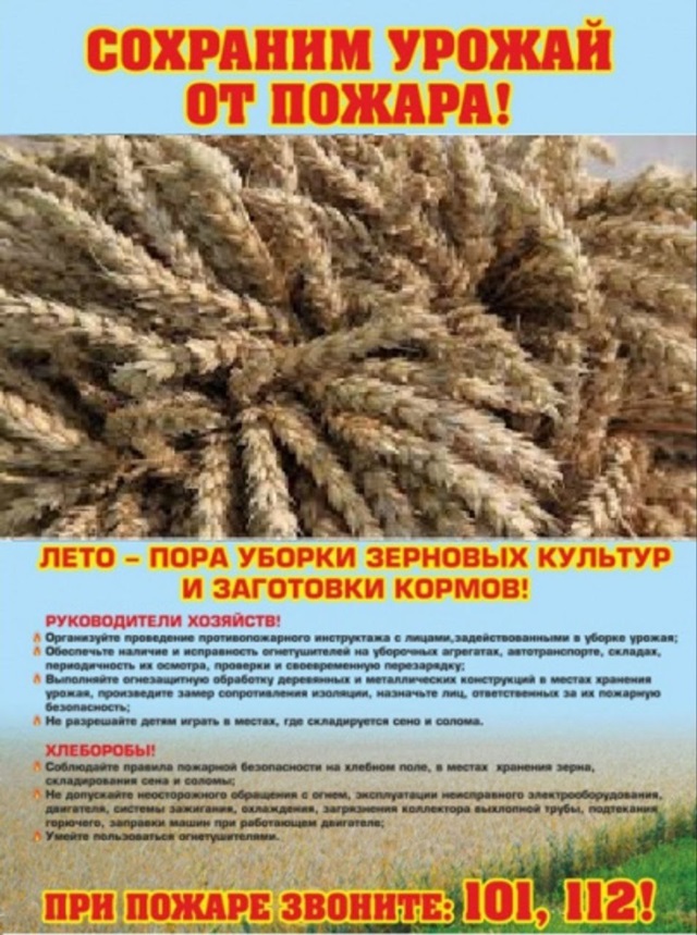 foto 2025 06 05 15 34