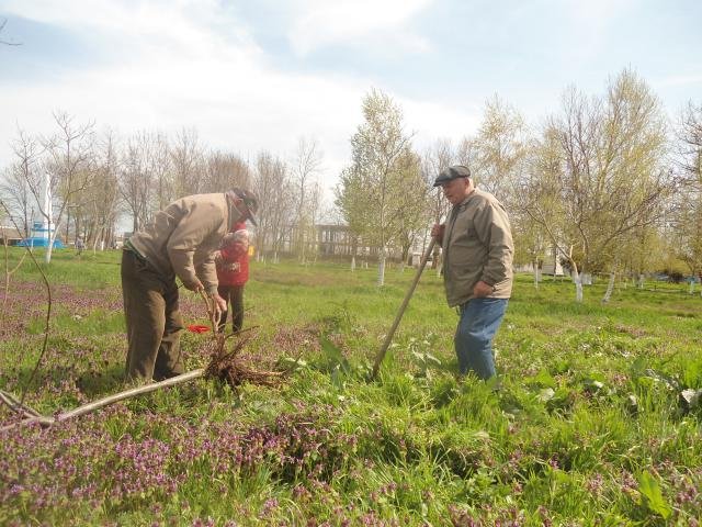 Субботник 17.04.2015г